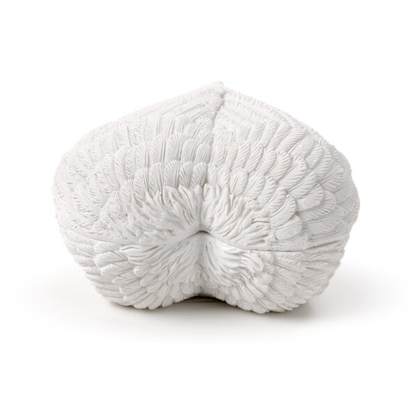 Trinket Jewellery Box - Wings of the Heart Angel Wings - Image 6