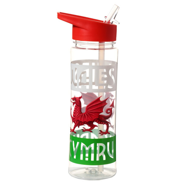 Reusable Water Bottle 550ml - Welsh Dragon Wales (Cymru) Souvenir - Image 4