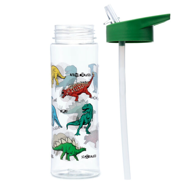 Reusable Shatterproof Water Bottle 550ml - Dinosauria - Image 3