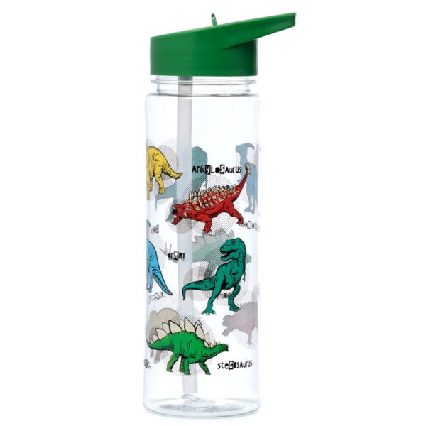 Reusable Shatterproof Water Bottle 550ml - Dinosauria - Image 5