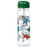 Reusable Shatterproof Water Bottle 550ml - Dinosauria - Image 6