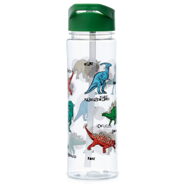 Reusable Shatterproof Water Bottle 550ml - Dinosauria - Image 6