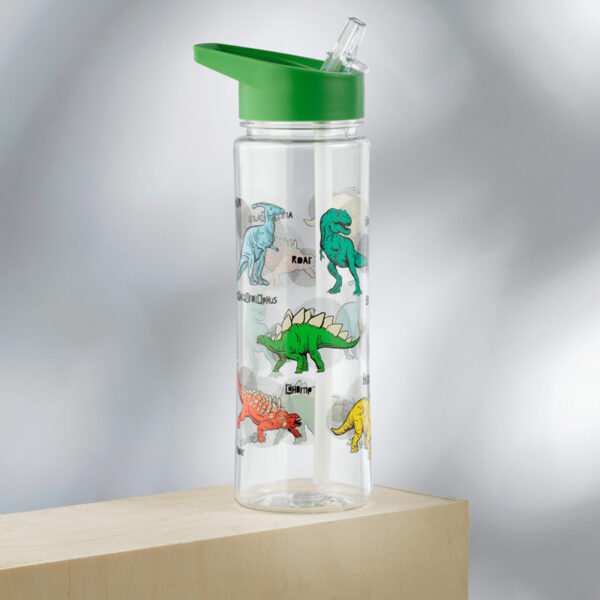 Reusable Shatterproof Water Bottle 550ml - Dinosauria - Image 7