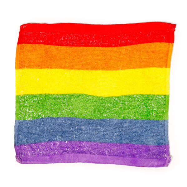 Compressed Travel Towel - Somewhere Rainbow Stripes - Image 2