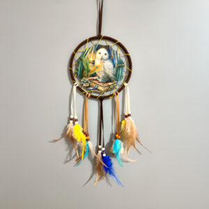 Dreamcatcher (Small) - Lisa Parker Guardian of Spells Owl