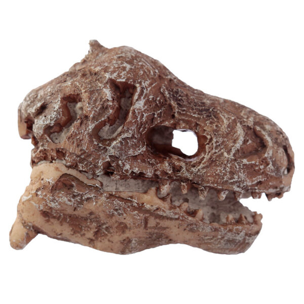 Fun Excavation Dig it Out Kit - Dinosaur Fossil - Image 2