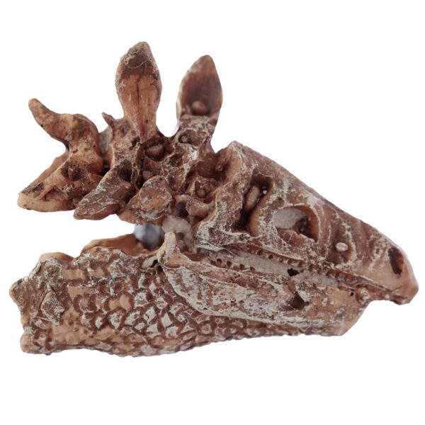 Fun Excavation Dig it Out Kit - Dinosaur Fossil - Image 4