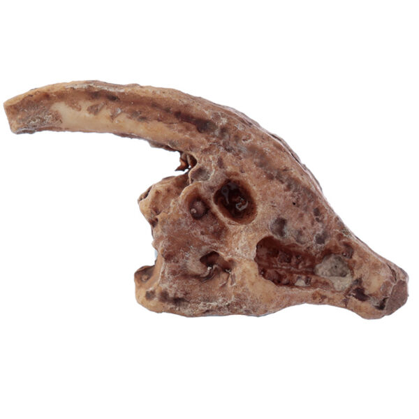 Fun Excavation Dig it Out Kit - Dinosaur Fossil - Image 5