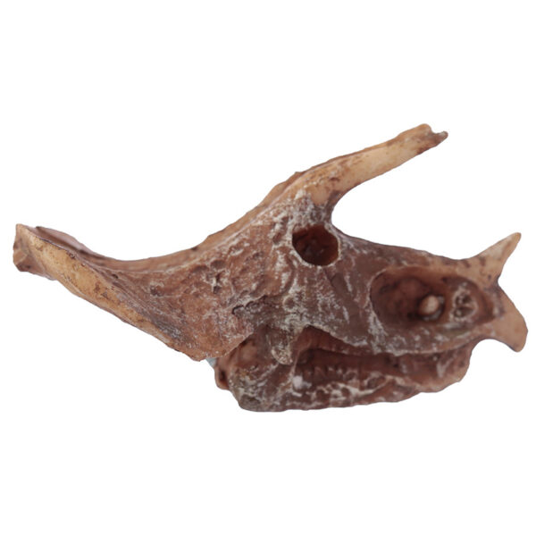 Fun Excavation Dig it Out Kit - Dinosaur Fossil - Image 6