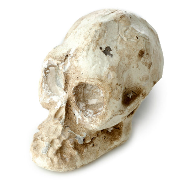 Fun Excavation Dig it Out Kit - Human Skull - Image 5