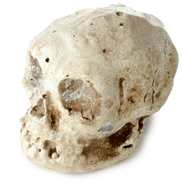 Fun Excavation Dig it Out Kit - Human Skull - Image 7