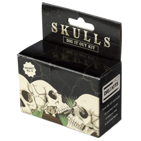 Fun Excavation Dig it Out Kit - Human Skull - Image 9