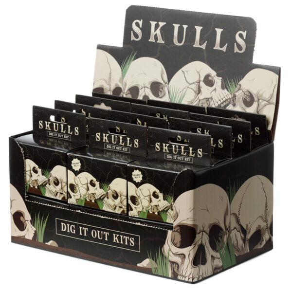 Fun Excavation Dig it Out Kit - Human Skull - Image 10