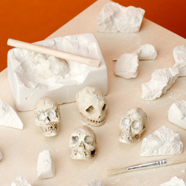 Fun Excavation Dig it Out Kit - Human Skull - Image 11
