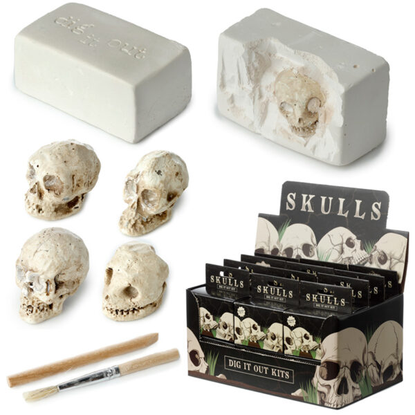 Fun Excavation Dig it Out Kit - Human Skull - Image 12