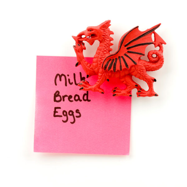Souvenir Magnet - Welsh Dragon - Image 5