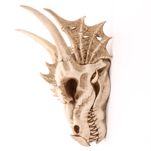 Decorative Fantasy Dragon Skull - Image 2