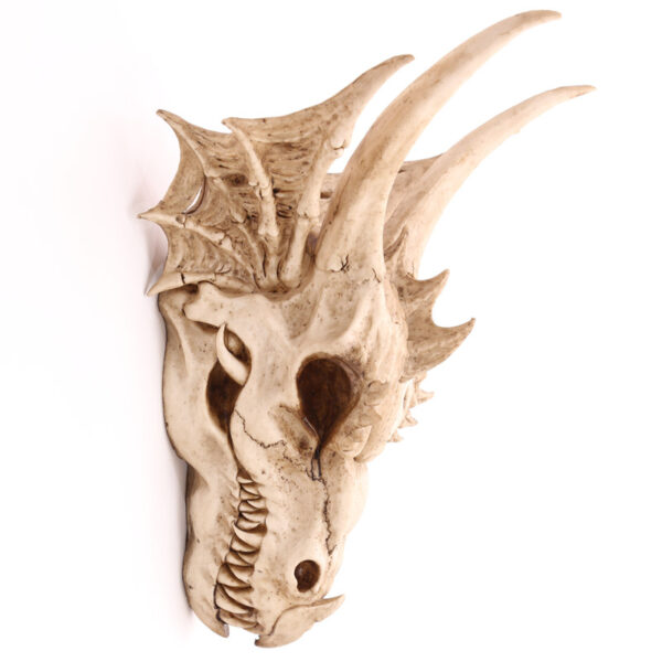 Decorative Fantasy Dragon Skull - Image 3