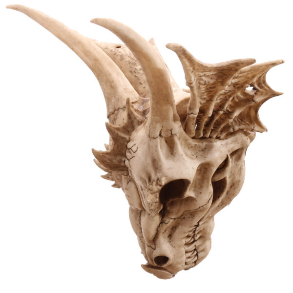 Decorative Fantasy Dragon Skull - Image 4