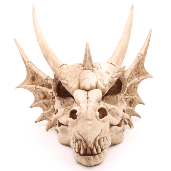 Decorative Fantasy Dragon Skull - Image 6