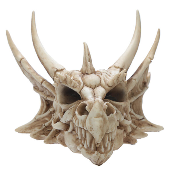 Collectable Dragon Skull - Image 2