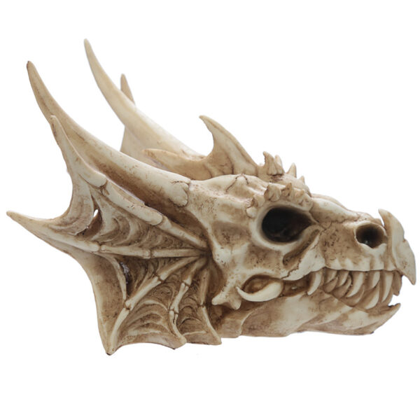Collectable Dragon Skull - Image 3