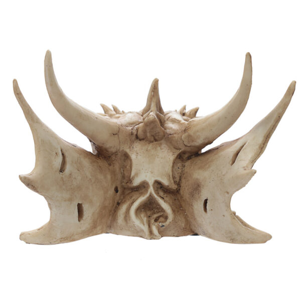 Collectable Dragon Skull - Image 4
