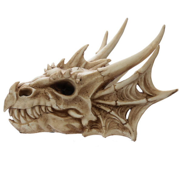 Collectable Dragon Skull - Image 5