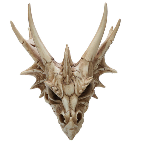 Collectable Dragon Skull - Image 6
