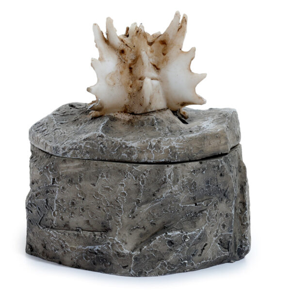 Shadows of Darkness Dragon Skull Trinket Box - Image 4