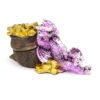 Elements Dragon Ornament - Treasure Dragon - Image 2