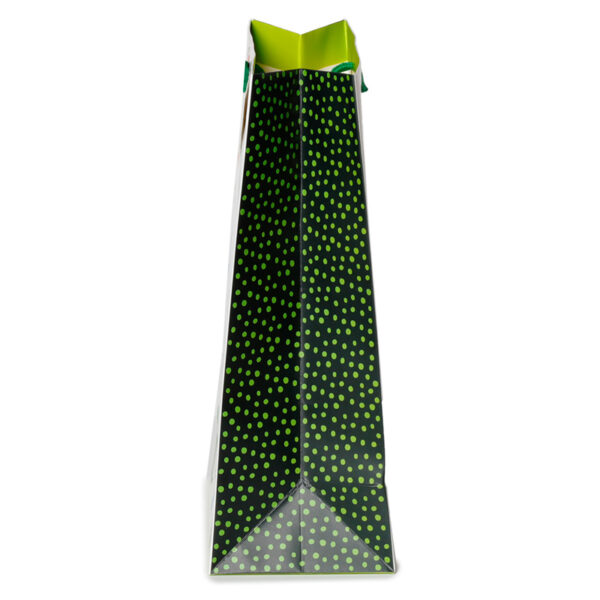 Gift Bag (Large) - Dinosauria Jr - Image 3