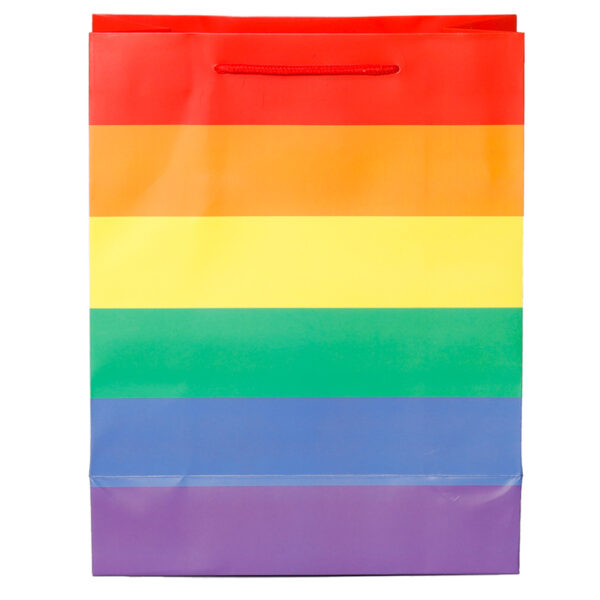 Gift Bag (Large) - Somewhere Rainbow - Image 4