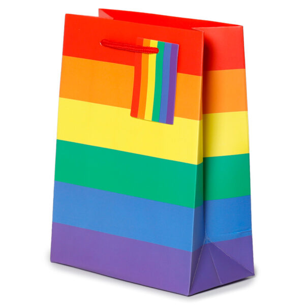 Gift Bag (Medium) - Somewhere Rainbow - Image 2