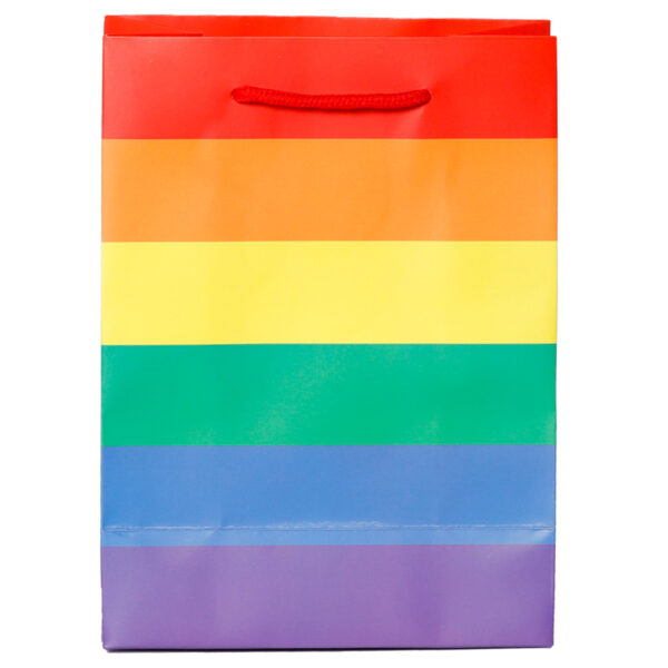 Gift Bag (Medium) - Somewhere Rainbow - Image 4
