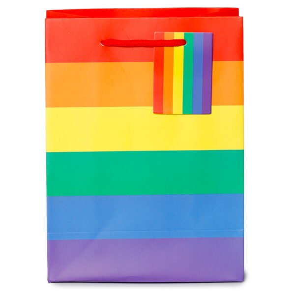Gift Bag (Medium) - Somewhere Rainbow - Image 5