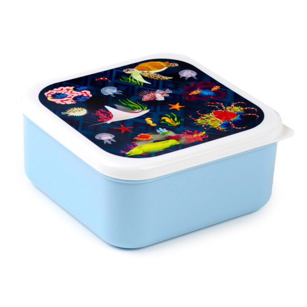 Lunch Boxes Set of 3 (M/L/XL) - Marine Kingdom - Image 3