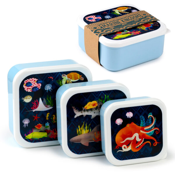 Lunch Boxes Set of 3 (M/L/XL) - Marine Kingdom - Image 6