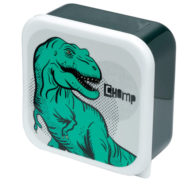 Lunch Boxes Set of 3 (M/L/XL) - Dinosauria - Image 7