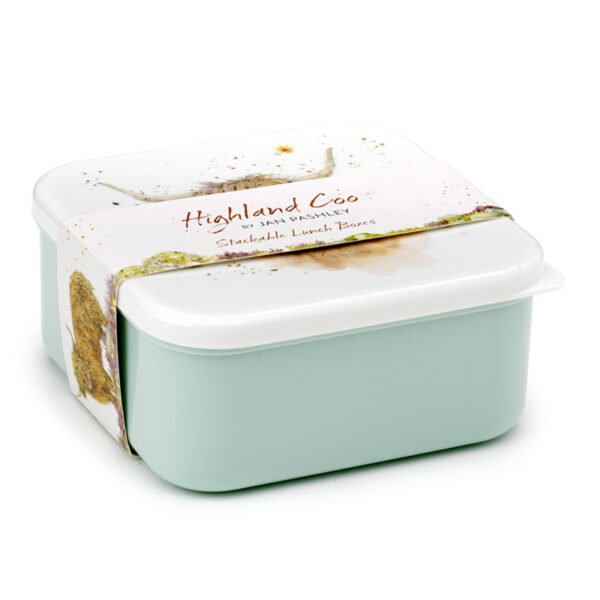 Lunch Boxes Set of 3 (M/L/XL) - Jan Pashley Highland Coo Cow - Image 2