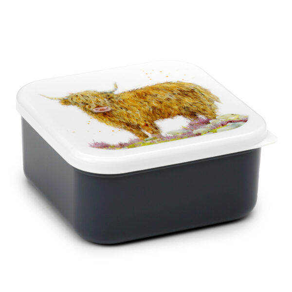 Lunch Boxes Set of 3 (M/L/XL) - Jan Pashley Highland Coo Cow - Image 4