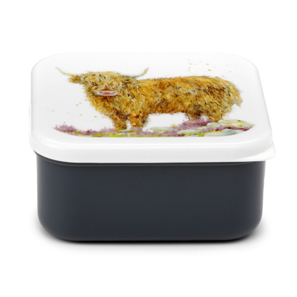 Lunch Boxes Set of 3 (M/L/XL) - Jan Pashley Highland Coo Cow - Image 7