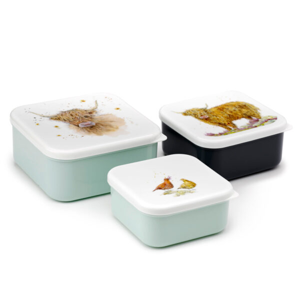 Lunch Boxes Set of 3 (M/L/XL) - Jan Pashley Highland Coo Cow - Image 9