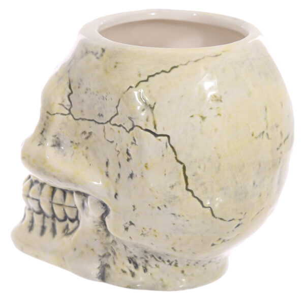Ceramic Shaped Head Mug - Ancient Skull - Image 4