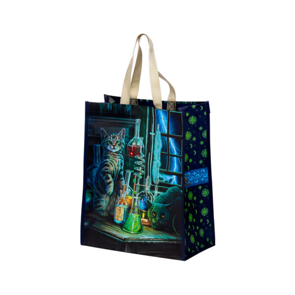 Durable Reusable Shopping Bag - Lisa Parker Jekyll and Hyde Cats - Image 5