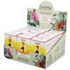 Goloka Blends Essential Oil 10ml - Citrus Fresh - Image 2