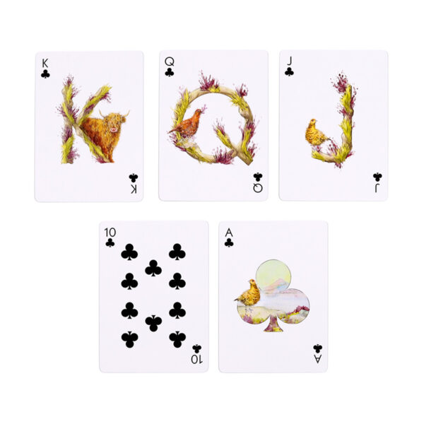 Standard Deck of Playing Cards - Jan Pashley Highland Coo - Image 6