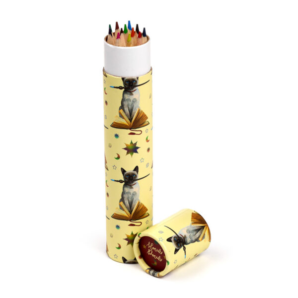 Large Colouring Pencil Tube - Lisa Parker Hocus Pocus Cat - Image 4