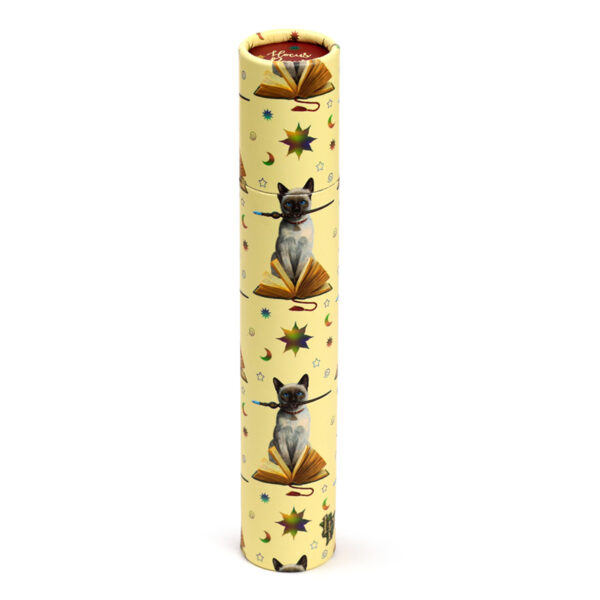 Large Colouring Pencil Tube - Lisa Parker Hocus Pocus Cat - Image 7