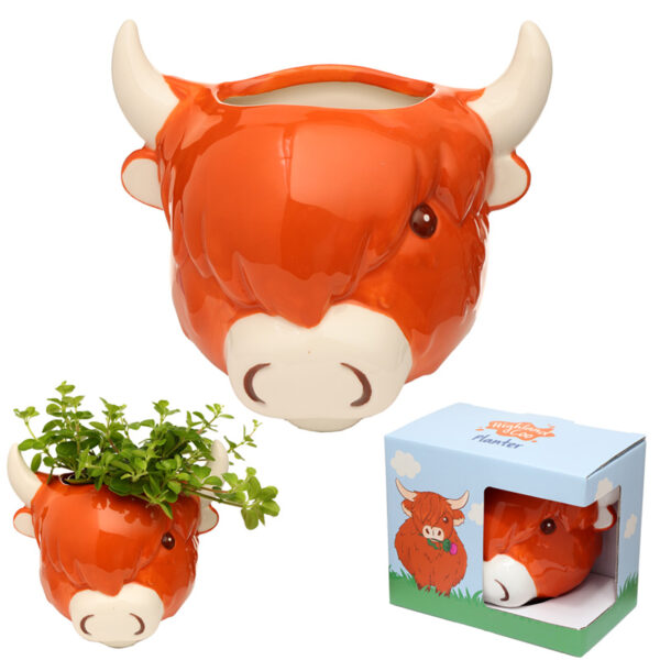 Decorative Ceramic Indoor Wall Planter/Plant Pot - Highland Coo Cow - Image 8